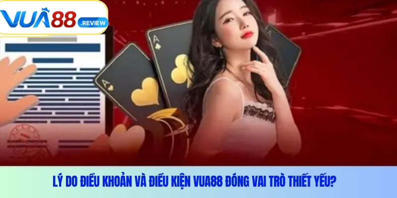 Lý do điều khoản và điều kiện Vua88 đóng vai trò thiết yếu?